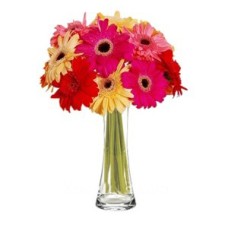 Mixed Gerberas to Indonesia