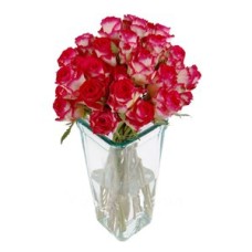 Two Dozen Double Tone Roses in Vase to Indonesia