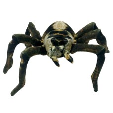 Sebastian The Spider soft Plush Toy