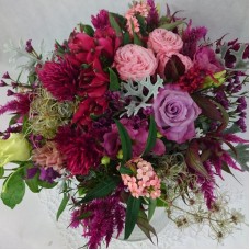 Pink colour blooms