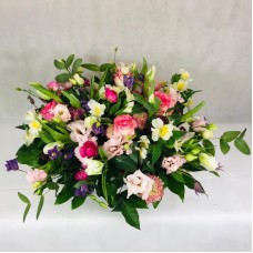 Bright pink and green mix (Compact)
