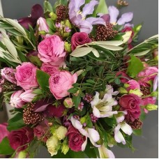 Premium pink flower enjoyment