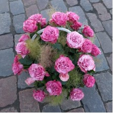 Pink roses in basket