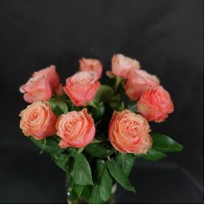 Light pink roses 50/70cm