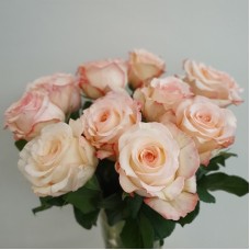 Light orange roses 40/60cm