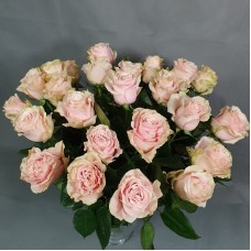Gentle pink roses 40/60cm