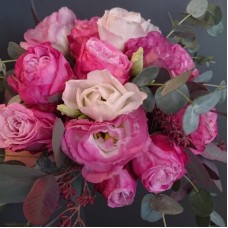 PINK EUCALYPTUS (Large)