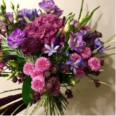 Dark purple Autumn colour