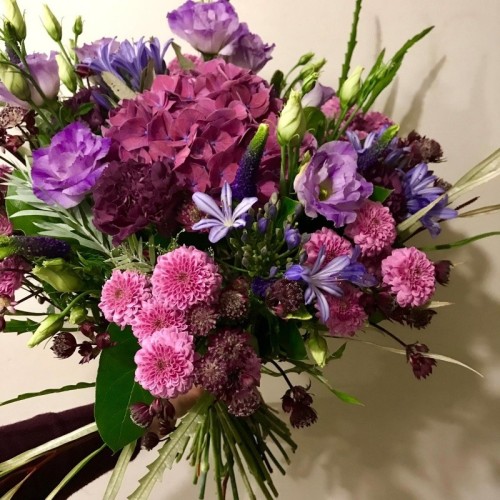 Dark purple Autumn colour
