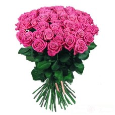 51 pink rose