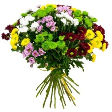 Bouquet of chrysanthemum 25 pcs mix Bouquet of chrysanthemum 25 pcs mix