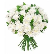 White chrysanthemum spray 15pcs