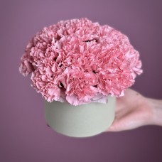Bloom Box With Pink Carnations