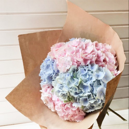 Blue And Pink Hydrangeas