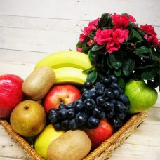 Fruit Basket "Surprise" 5kg
