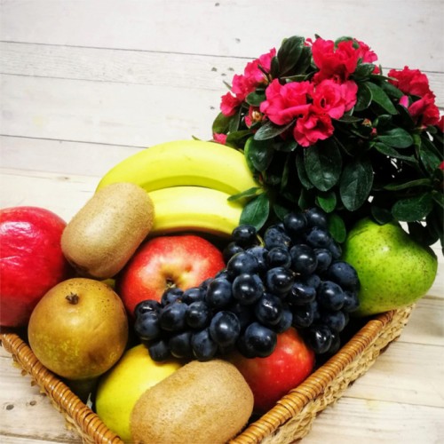 Fruit Basket 