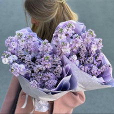 Lilac Matthiola bouquet with limonium