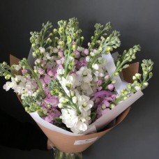 Matthiola Boquet (19)