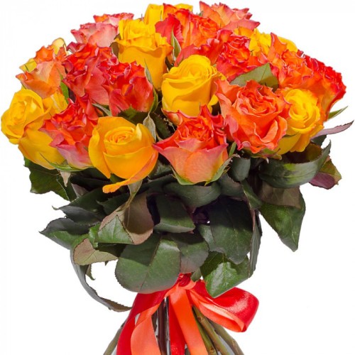 Multicolored Roses 