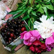 Peonies & Box With Cherries