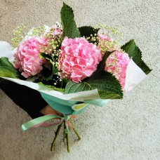 Pink Hydrangeas