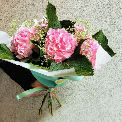 Pink Hydrangeas