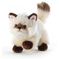 Plush Cat Thaytoo 21 cm