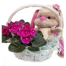 The Hares Cute Gift