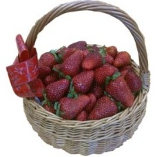 Strawberry Basket