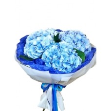 Splendid Blooms (3 stems)