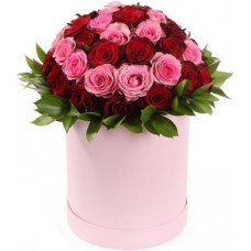 Love and Tenderness (25 stems)