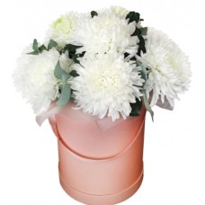 White Delight