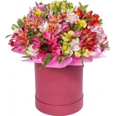 25 Alstroemeria Mix