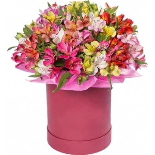 25 Alstroemeria Mix
