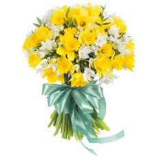 White and Yellow Narcissus