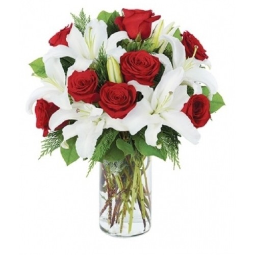 Kiss of Venus (Small)