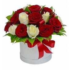 Red & White from 9 to 101 (9 stems)