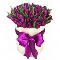 Purple-plum in a box (19 stems)