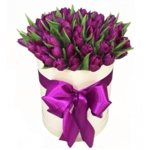 Purple-plum in a box (19 stems)
