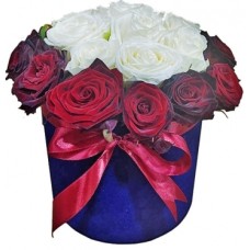 I'll embrace you tenderly (9 stems)
