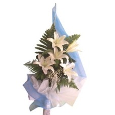 The Star!