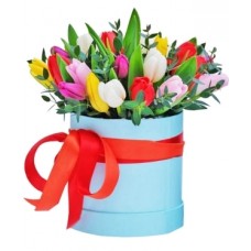 Multicolored Tilips Box (19 stems)