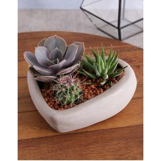 Mothers Day Heart Terrarium