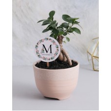 Bonsai Tree For Mothers Day