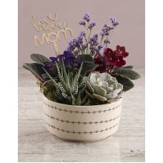African Violet In Love Hearts Bowl