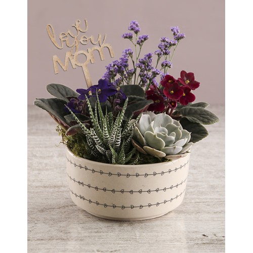 African Violet In Love Hearts Bowl