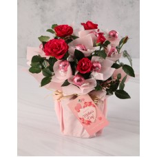 Sweet Red Rose Bush