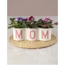 Mothers Day African Violet Surprise