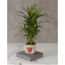 Heartfelt Bamboo Pot For Mom