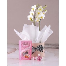 Lovely Mothers Day Orchid Combo